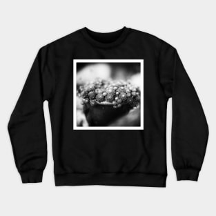 The Pot Crewneck Sweatshirt